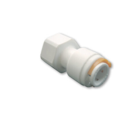 Terminale 12 Mm. Femmina 1/2
