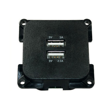 Presa Usb 5V Doppio Ingresso C-Line Nero-Silver