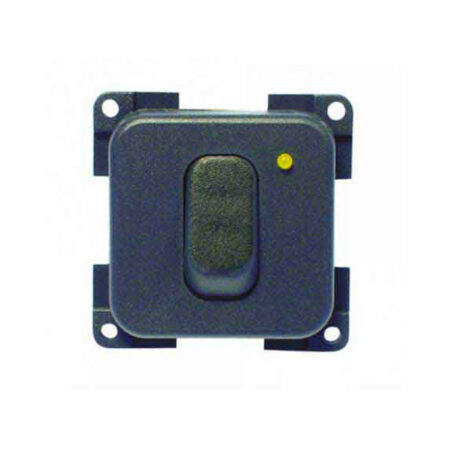 Interruttore 12V + Led Grigio