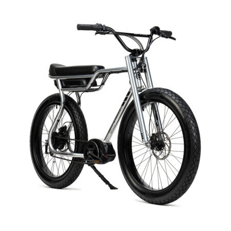 E-Bike Biggie silver grey - Pedelec Bosch Active-Line e batteria Bosch 300Wh (EU)