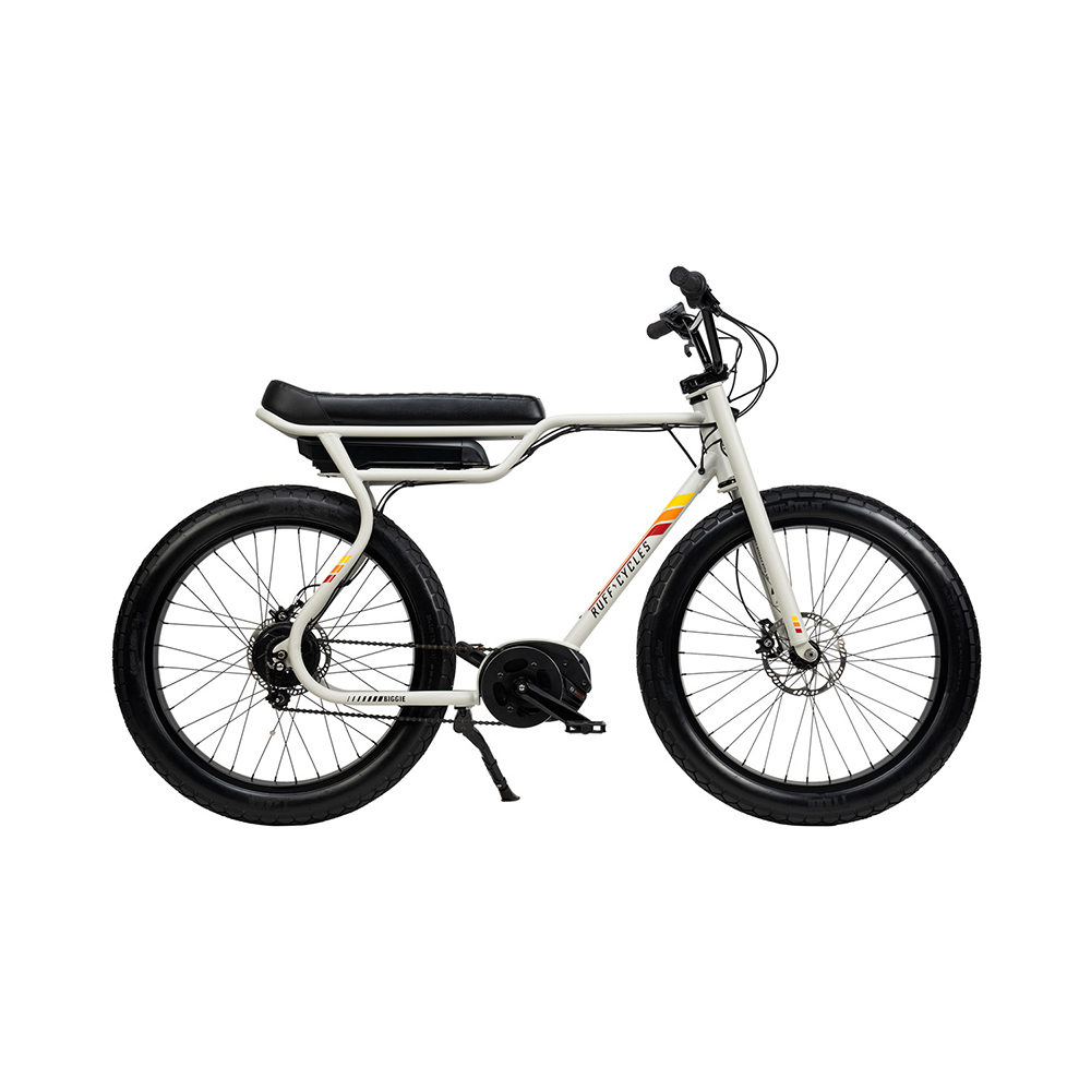 E-Bike Biggie bianca - Pedelec Bosch Active-Line e batteria Bosch 300Wh (EU)