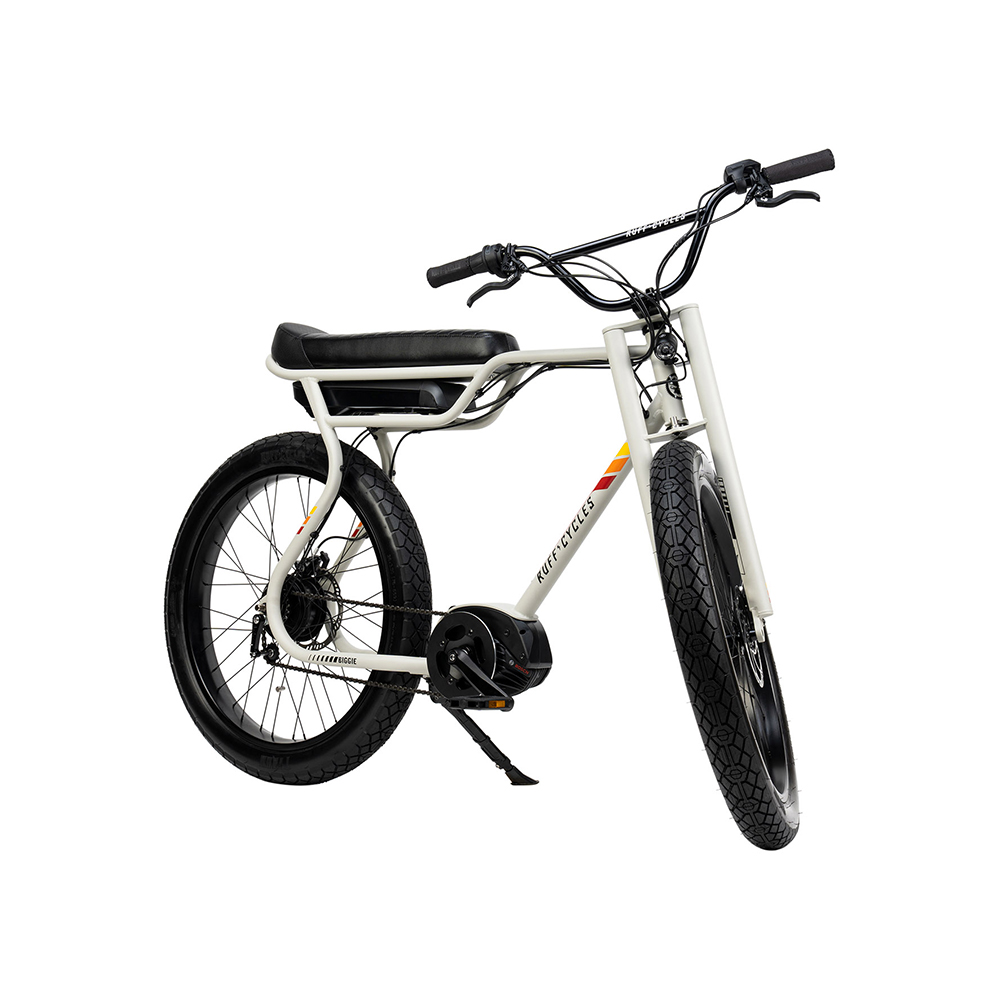 E-Bike Biggie bianca - Pedelec Bosch Active-Line e batteria Bosch 300Wh (EU)